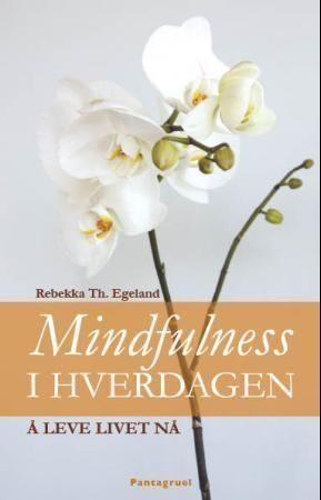 Mindfulness i hverdagen