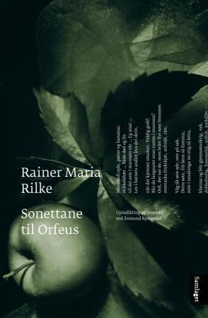 Die Sonette an Orpheus