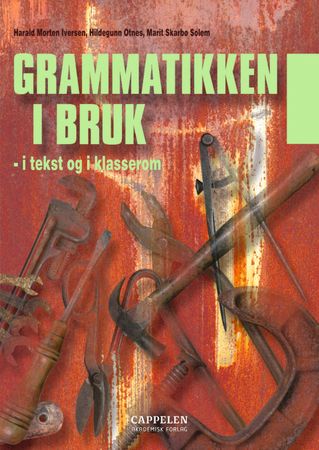 Grammatikken i bruk