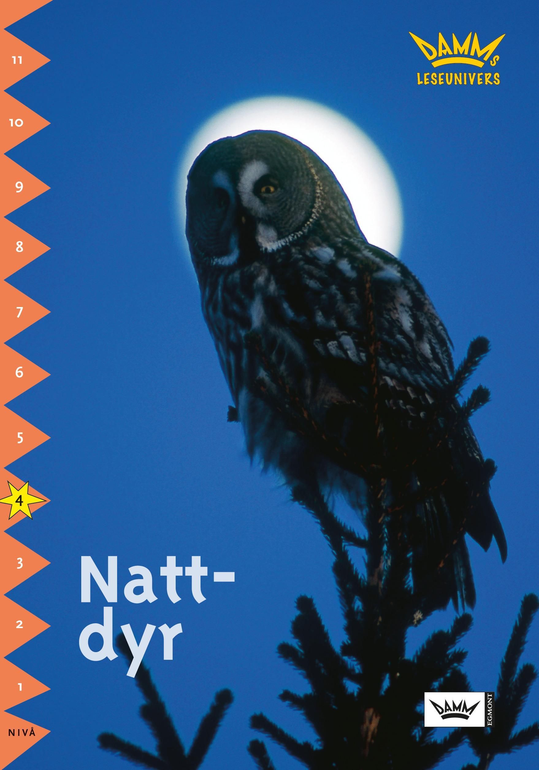 Djur om natten