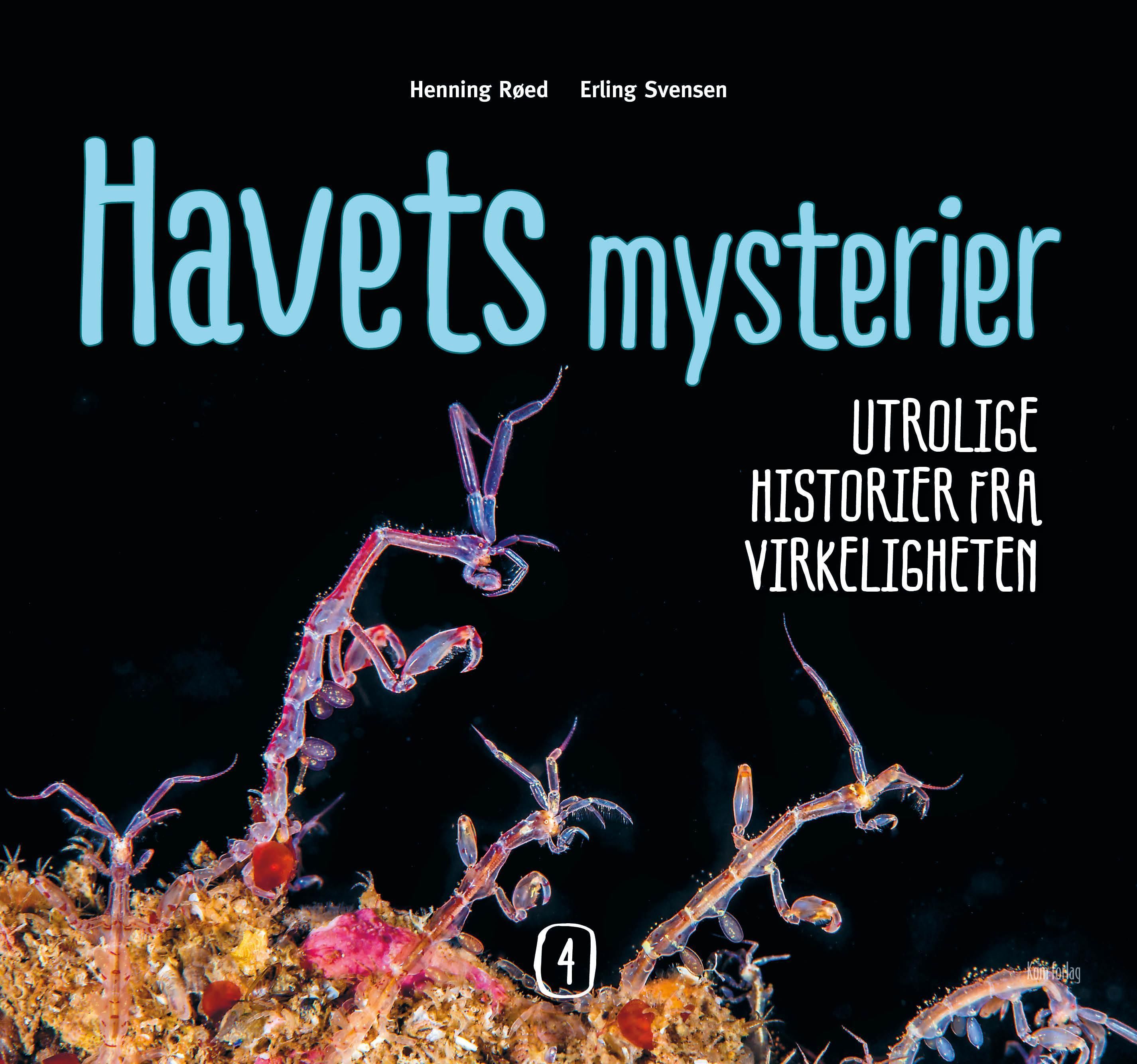 Havets mysterier. 4