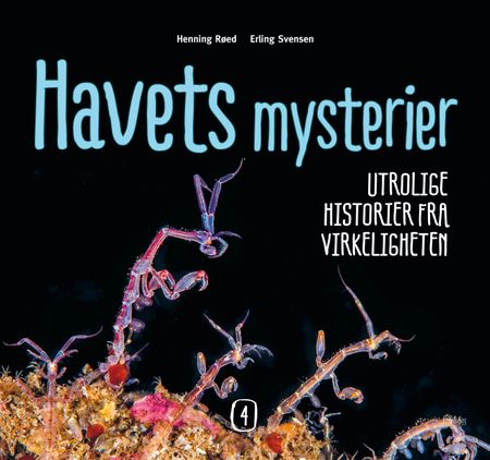 Havets mysterier. 4