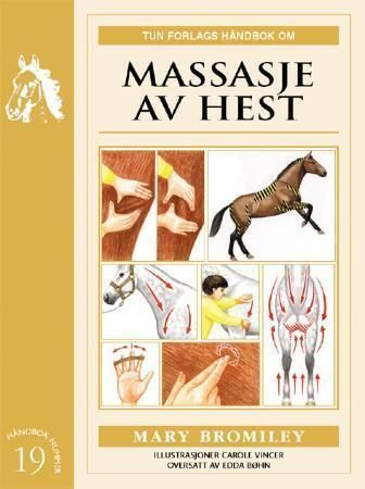 Massage for horses