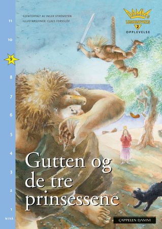 Pojken och de tre prinsessorna