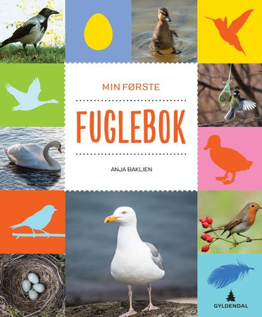 Min första fågelbok