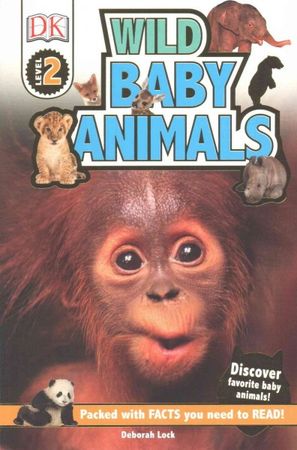 Wild baby animals