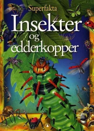 Insects and spiders