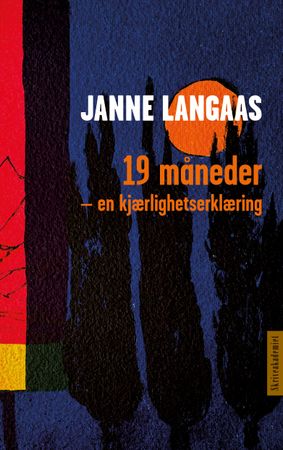 19 måneder