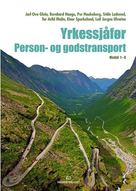 Yrkessjåfør
