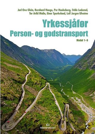 Yrkessjåfør
