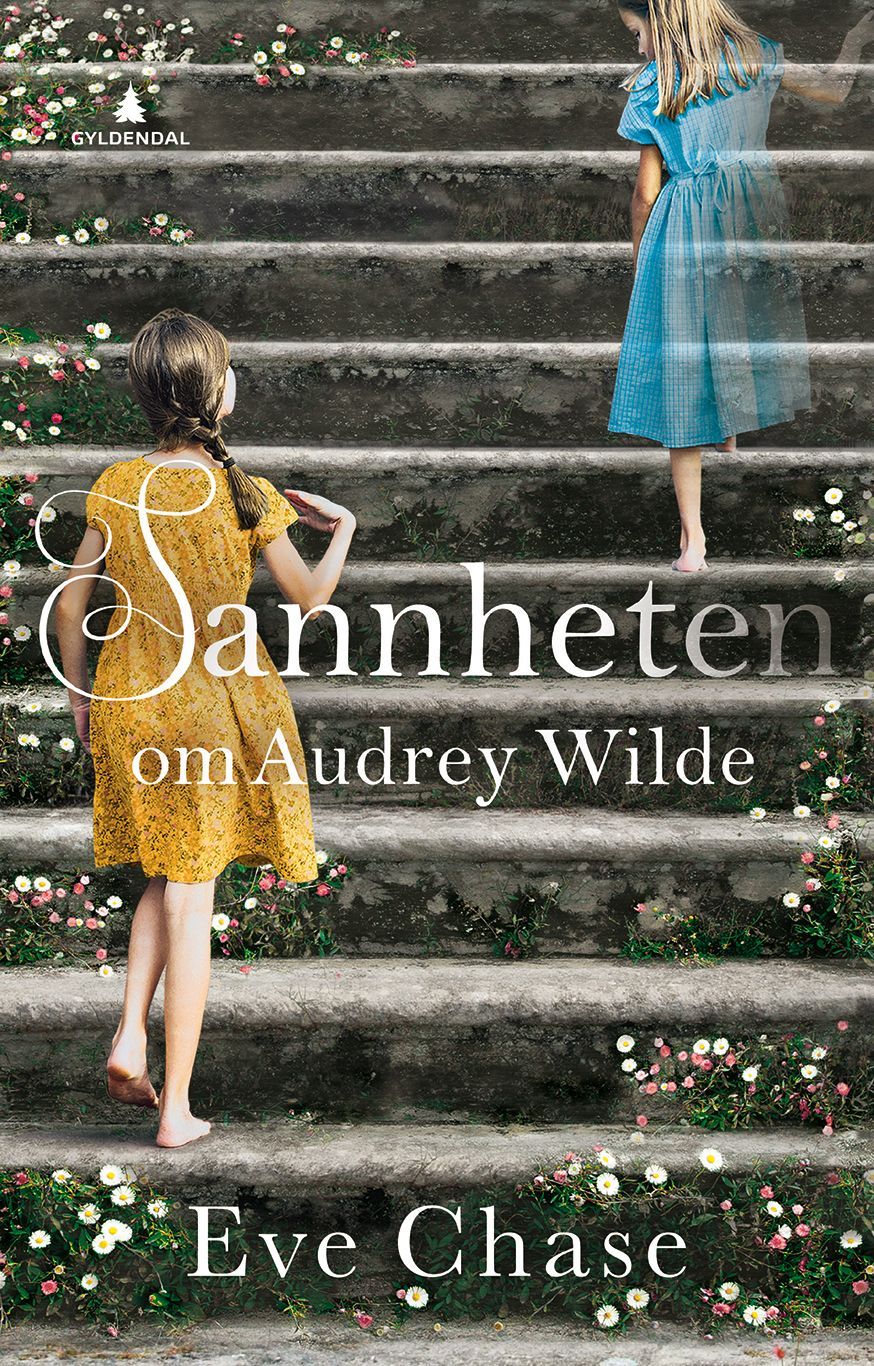 The vanishing of Audrey Wilde