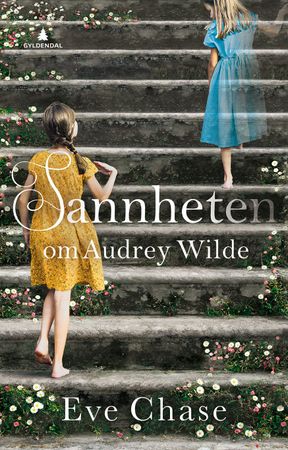 The vanishing of Audrey Wilde