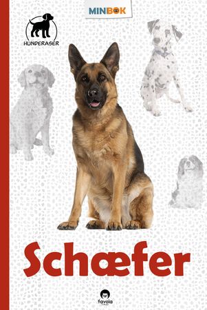 Schæferhund