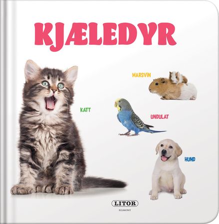 Sneak peak pet animals