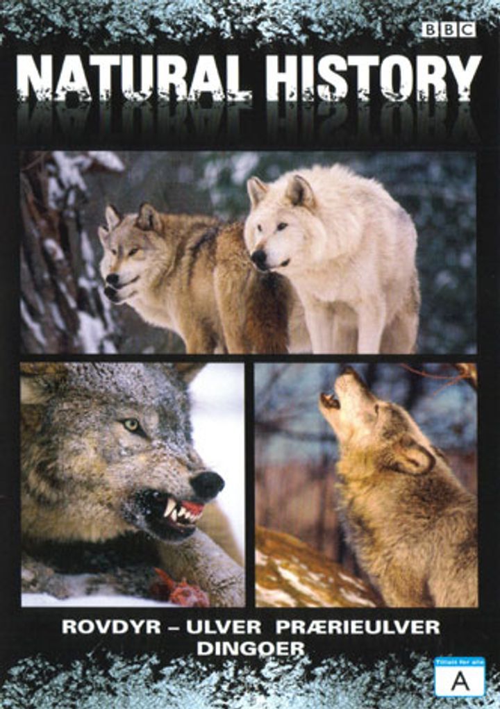 Predators. Del 4