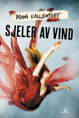 Vindsjälar