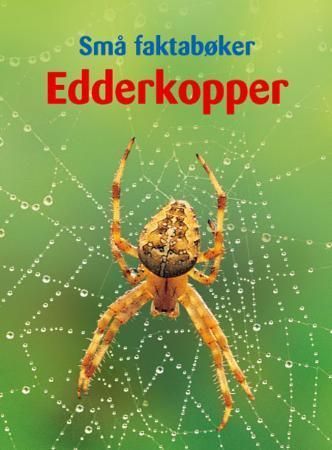 Spiders