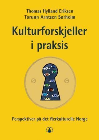 Kulturforskjeller i praksis