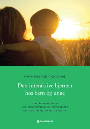 Den Interaktive hjernen hos barn og unge