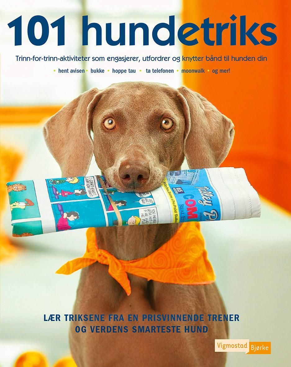 101 dog tricks