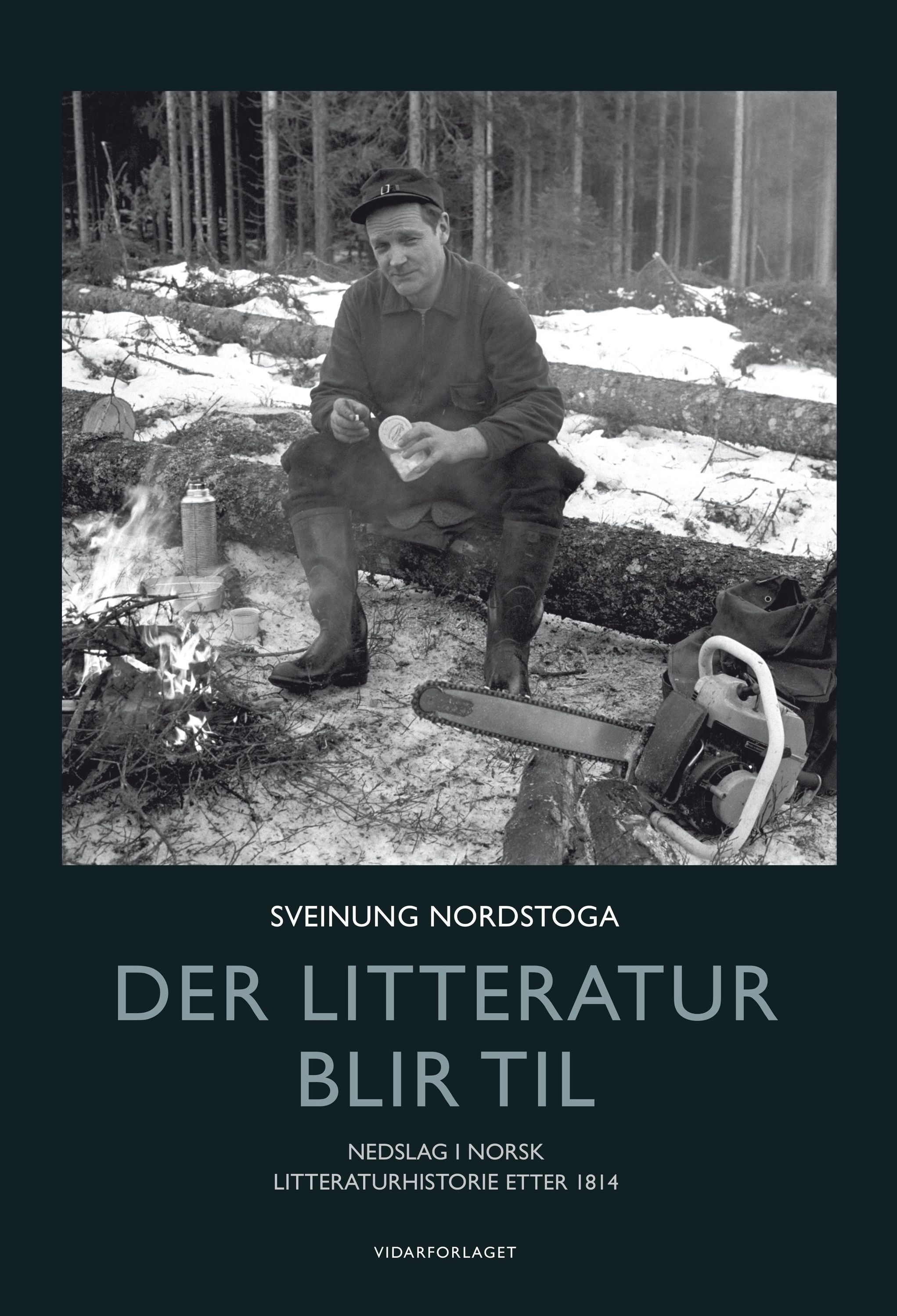 Der litteratur blir til