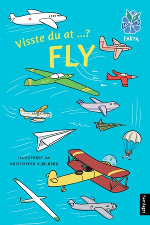 Visste du at ...? Fly