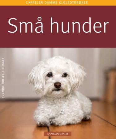 Kleine Hunde