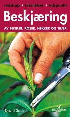 Pruning basics