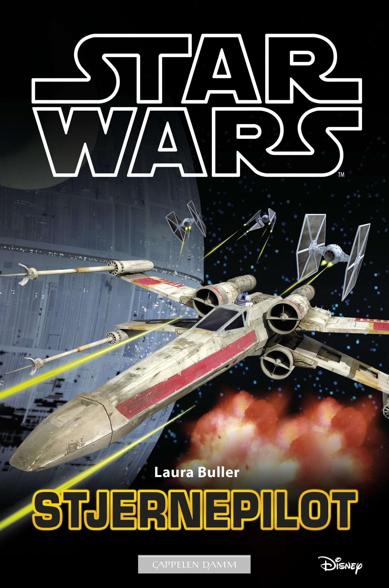 Star pilot