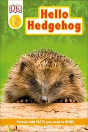 Hello, hedgehog