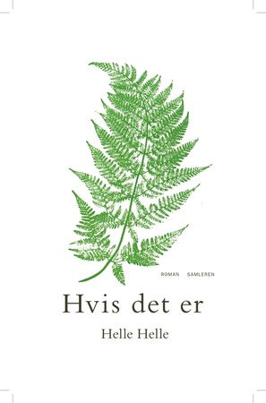 Hvis det er