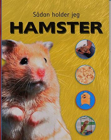 Hamster
