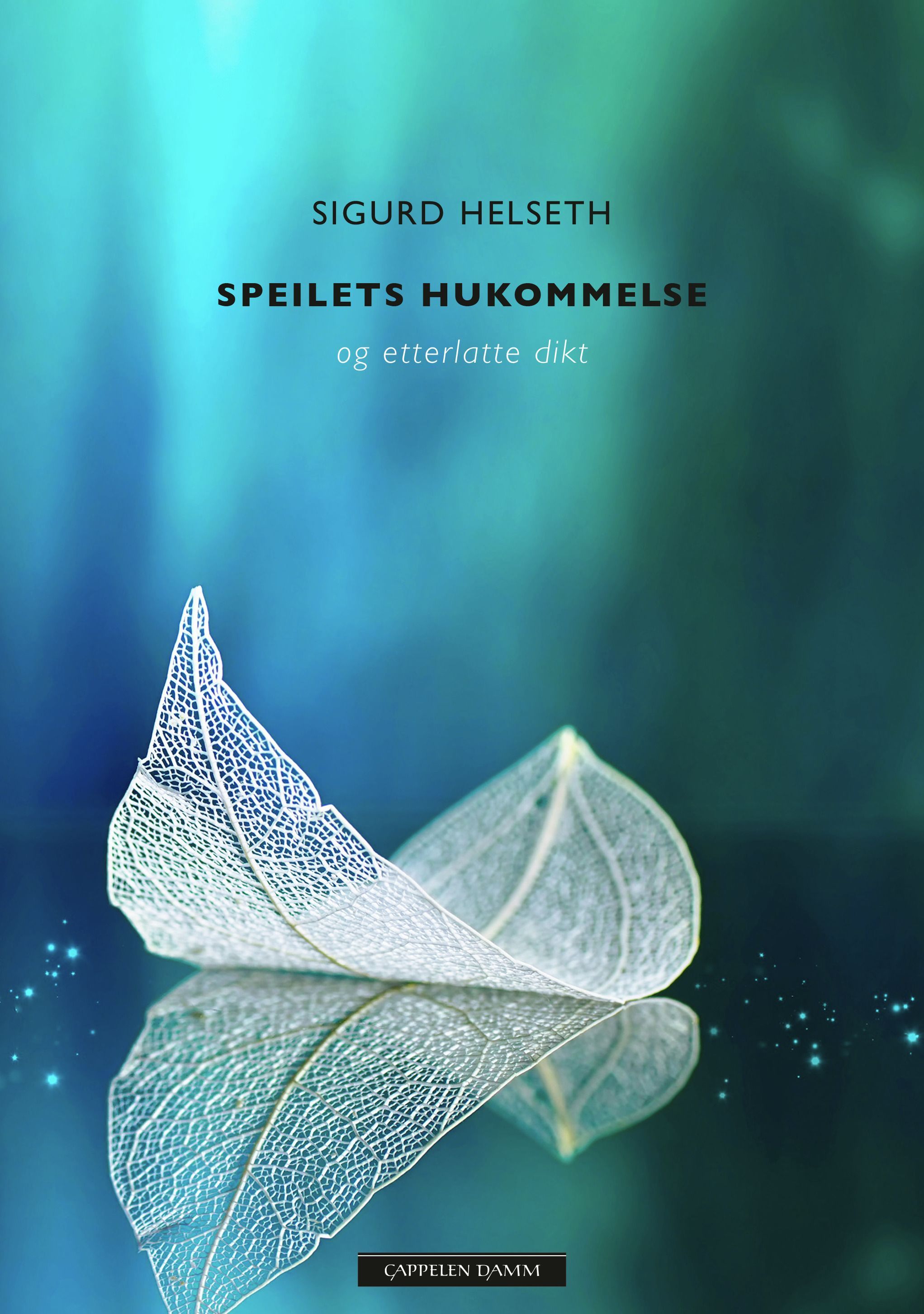 Speilets hukommelse