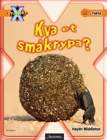 What do bugs eat?