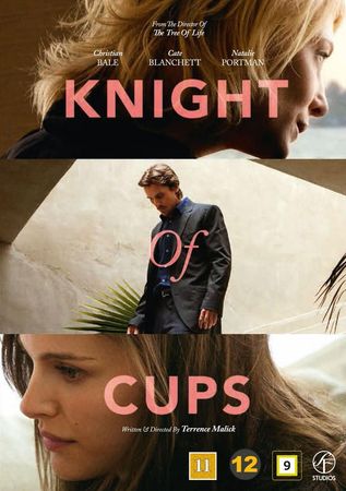 Knight of cups