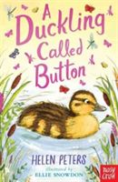 A ducling called Button