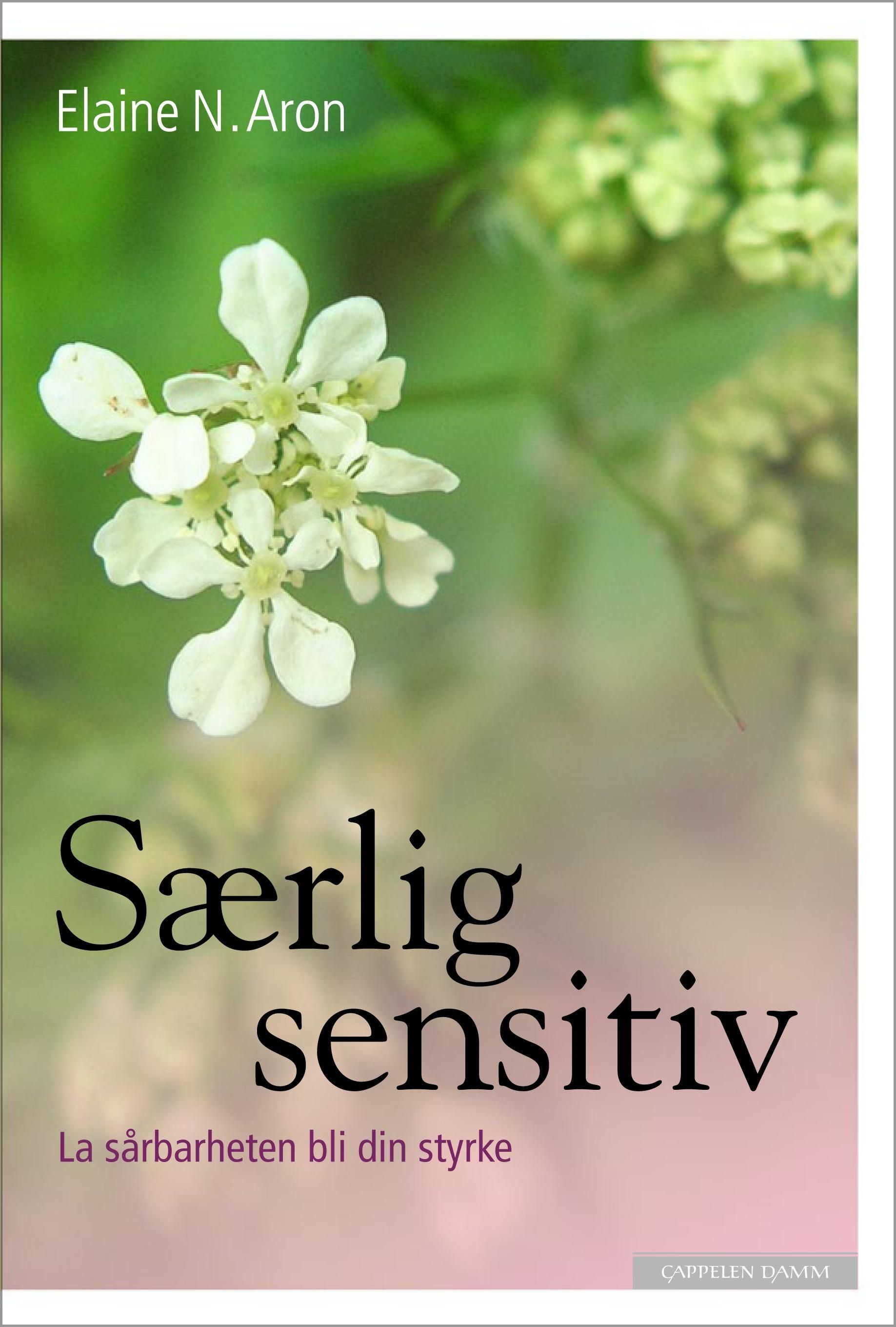 The highly sensitive person
