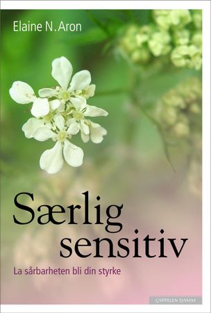 The highly sensitive person