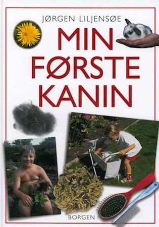 Min første kanin