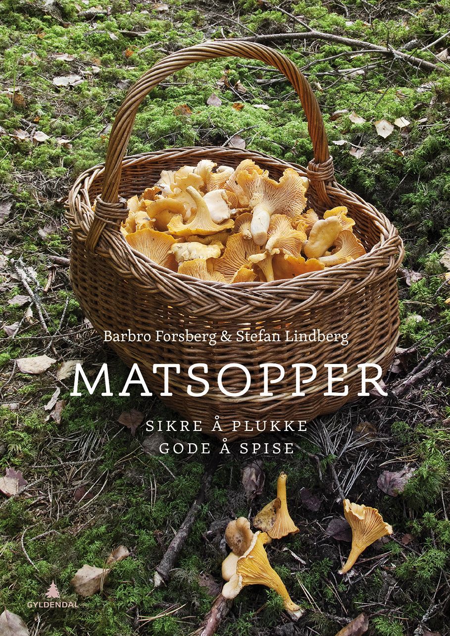 Matsvampar
