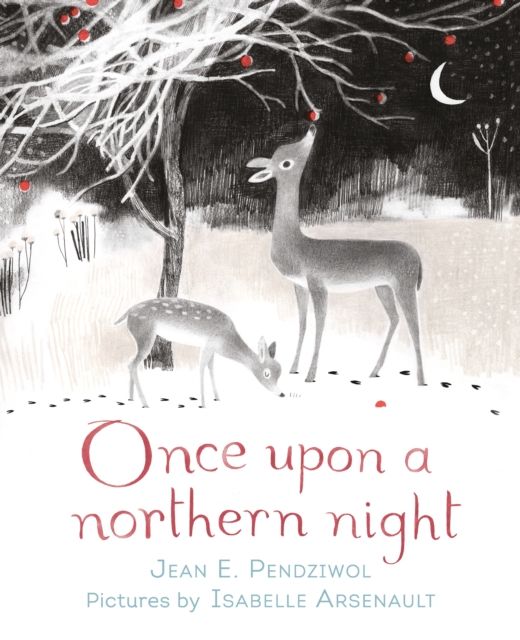 Once upon a northern night