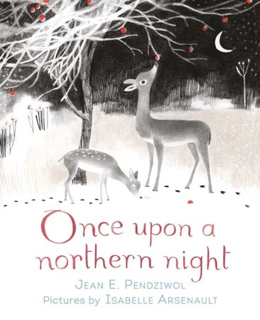 Once upon a northern night