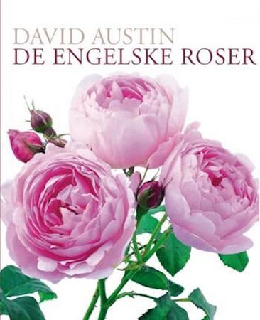 The English roses