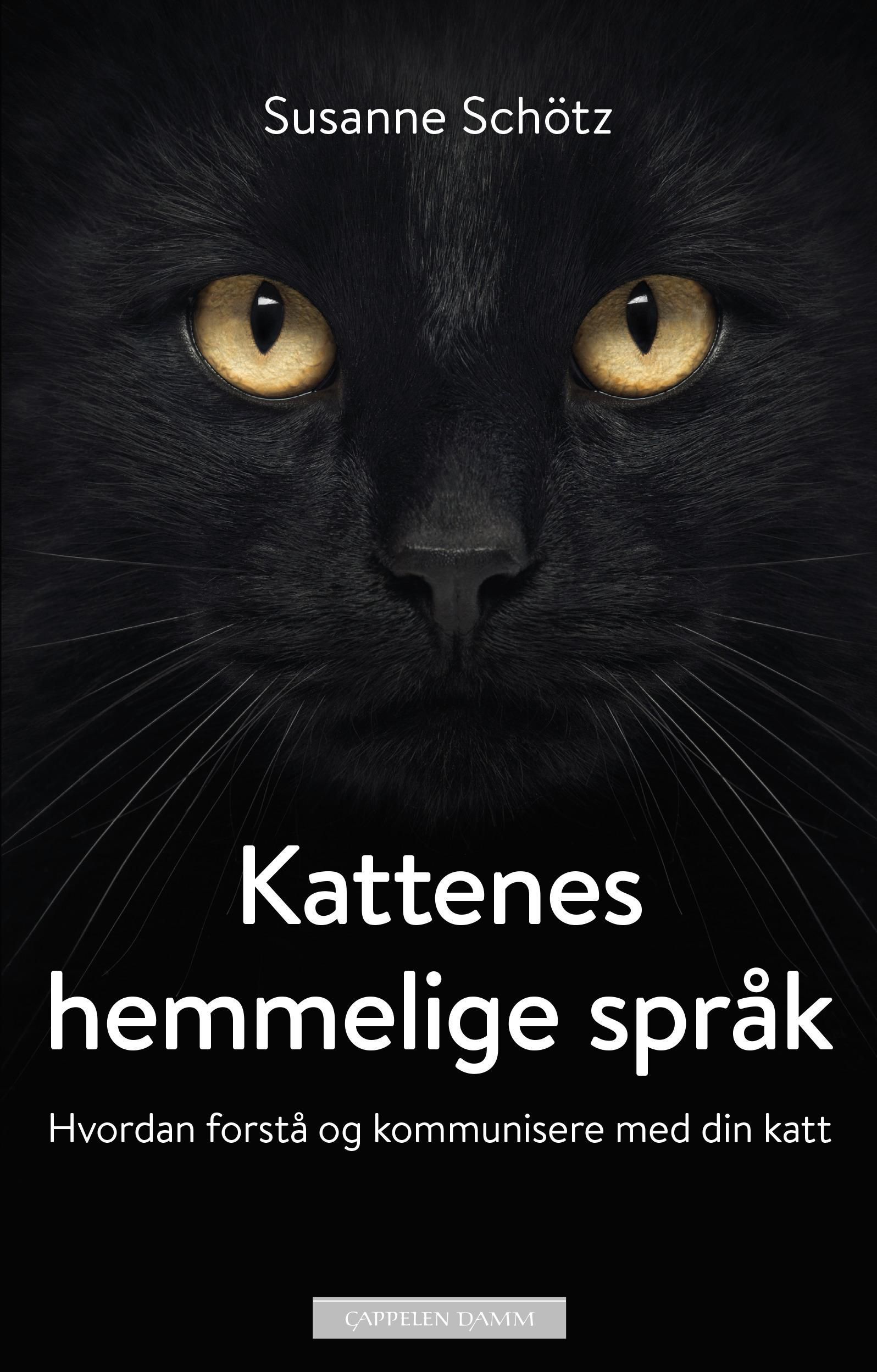 Die geheime Sprache der Katzen