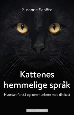 Die geheime Sprache der Katzen
