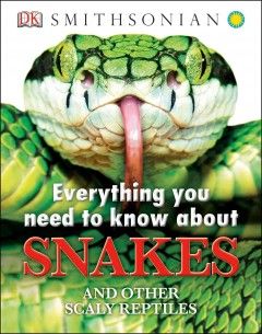 Everything you need to know about snakes