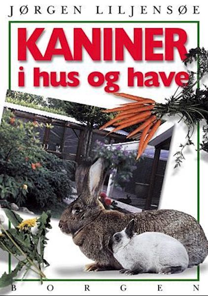Kaniner i hus og have