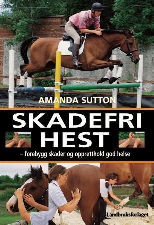 The injury-free horse