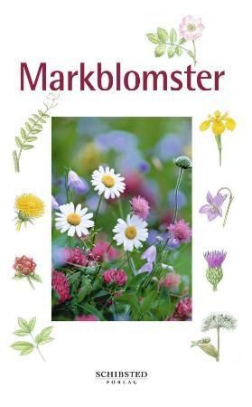 The easy wildflower guide