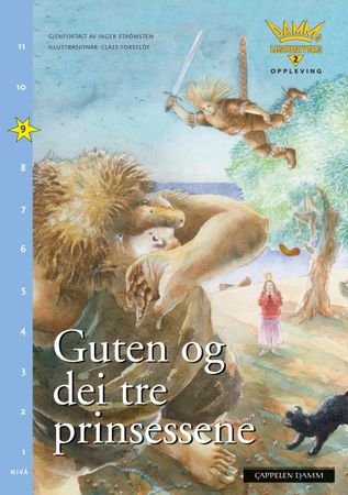 Pojken och de tre prinsessorna